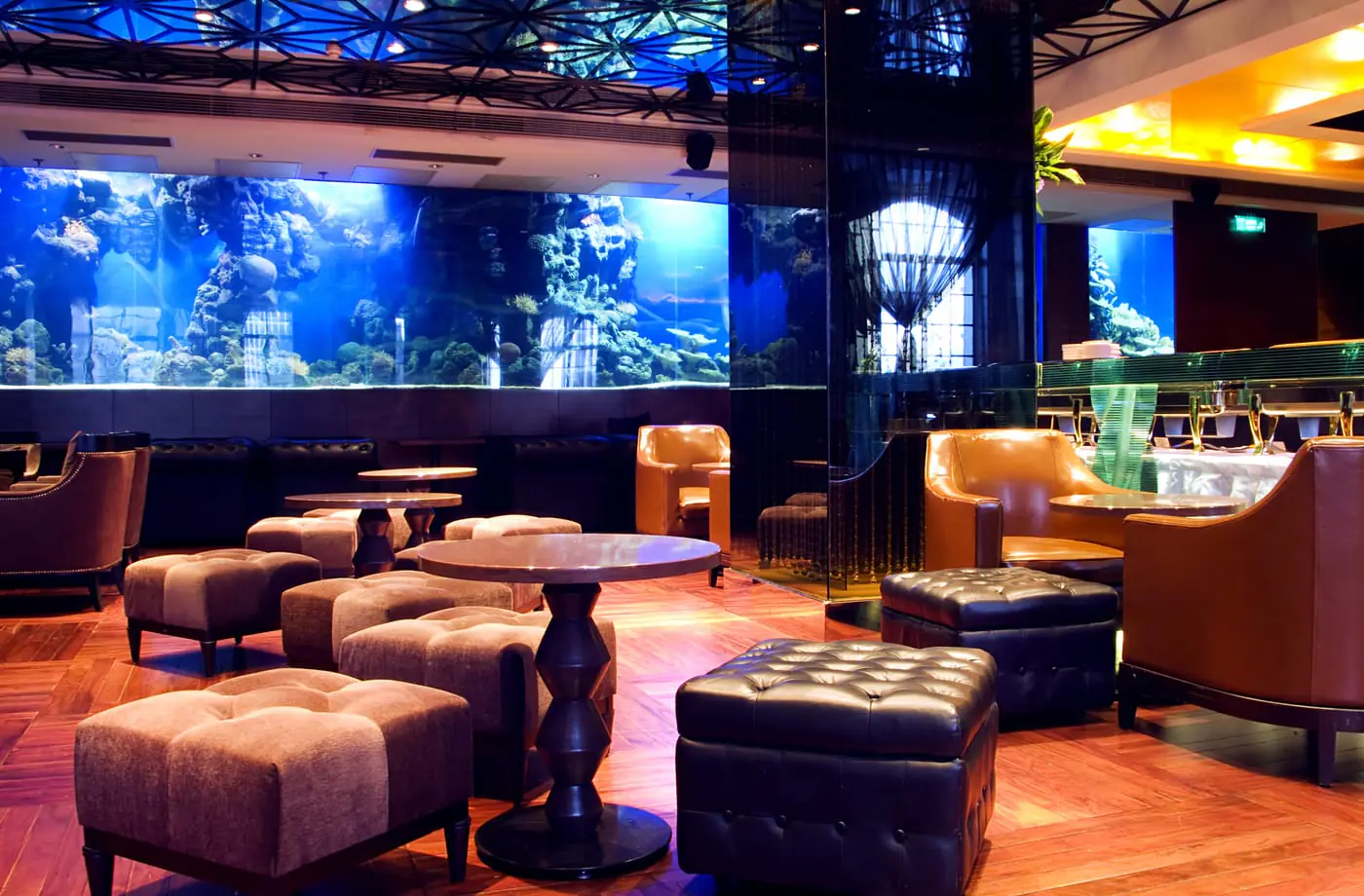 Luxury lounge and nightlife venue